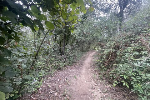 Land plot for sale in Caldes de Montbui, Barcelona, Spain No. 167228 - photo 9