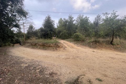 Land plot for sale in Caldes de Montbui, Barcelona, Spain No. 167228 - photo 16