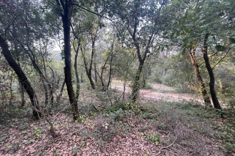 Land plot for sale in Caldes de Montbui, Barcelona, Spain No. 167228 - photo 22