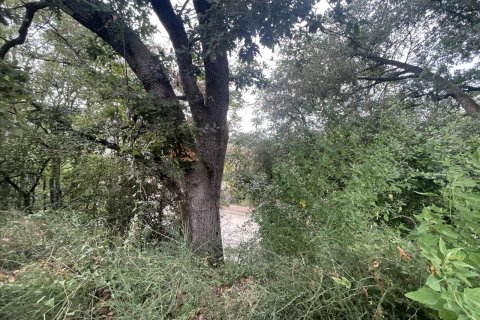 Land plot for sale in Caldes de Montbui, Barcelona, Spain No. 167228 - photo 14
