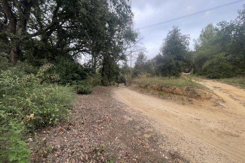 Land plot for sale in Caldes de Montbui, Barcelona, Spain No. 167228 - photo 15