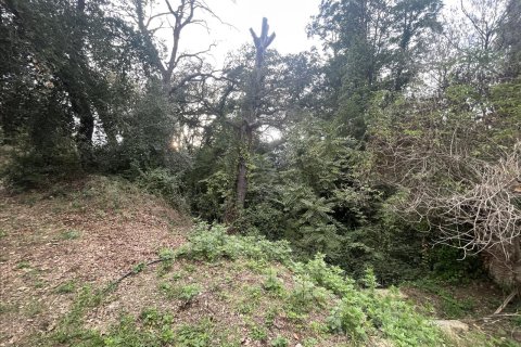 Land plot for sale in Caldes de Montbui, Barcelona, Spain No. 167228 - photo 19
