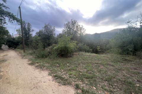 Land plot for sale in Caldes de Montbui, Barcelona, Spain No. 167228 - photo 12