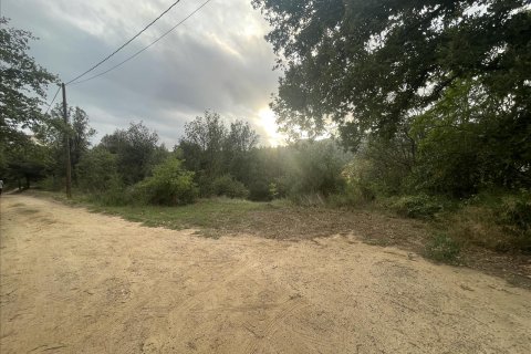 Land plot for sale in Caldes de Montbui, Barcelona, Spain No. 167228 - photo 13