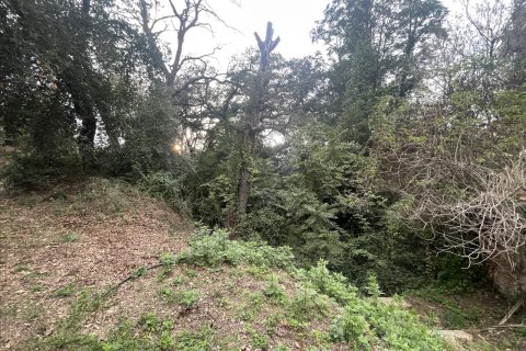 Land plot for sale in Caldes de Montbui, Barcelona, Spain No. 167228 - photo 18
