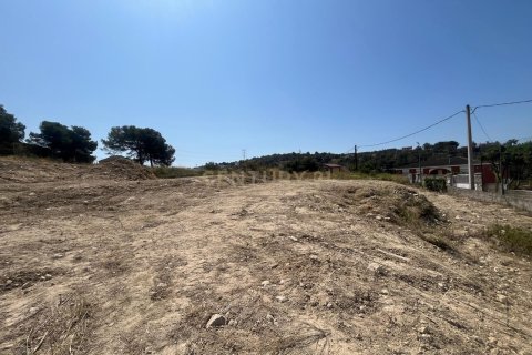 Terreno in vendita a Canyelles, Barcelona, Spagna N° 191315 - foto 6