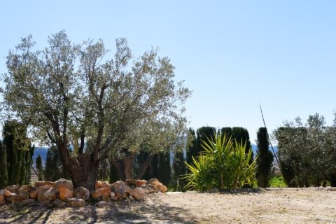 Villa à vendre à Pinoso, Alicante, Espagne, 4 chambres,  No. 146236 - photo 21