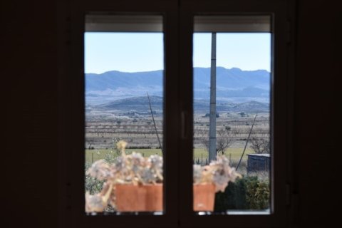 Villa à vendre à Pinoso, Alicante, Espagne, 4 chambres,  No. 146236 - photo 23