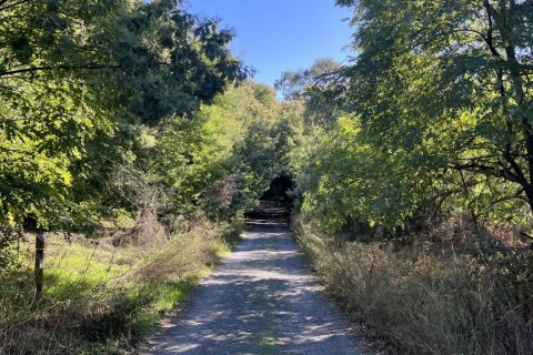 Продажа дома в Тарсис, Уэльва, Испания 5 спален, 170м2 №152707 - фото 30