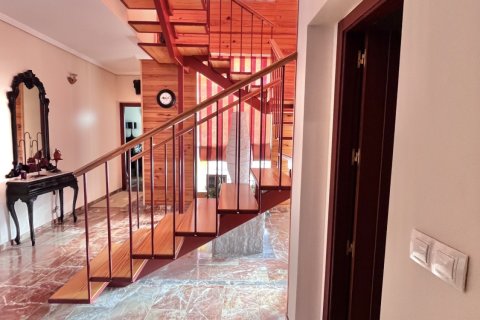 Продажа дома в Тарсис, Уэльва, Испания 5 спален, 170м2 №152707 - фото 11