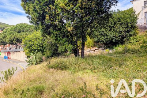 Land zum Verkauf in Premia De Dalt, Barcelona, Spanien 605 m2 Nr. 172399 - Foto 6