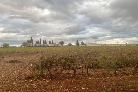 Lokal usługowy w Albacete, Hiszpania 1 sypialnia, 3000 mkw. nr 189374 – zdjęcie 4