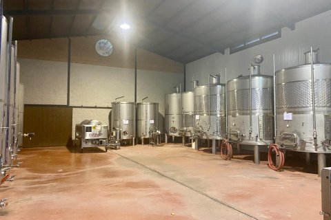 Lokal usługowy w Albacete, Hiszpania 1 sypialnia, 3000 mkw. nr 189374 – zdjęcie 5