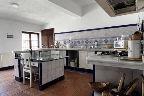 Продажа замков и поместий в Орначуэлос, Кордова, Испания 14 спален, 690м2 №154022 - фото 9