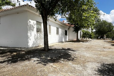 Продажа замков и поместий в Орначуэлос, Кордова, Испания 14 спален, 690м2 №154022 - фото 25