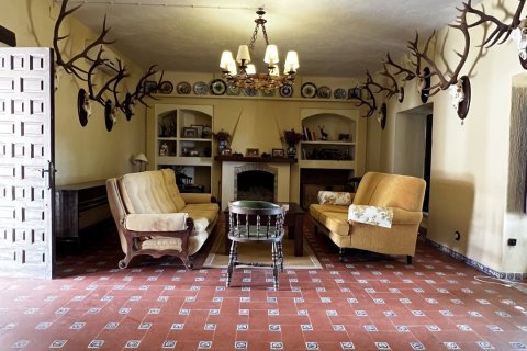 Продажа замков и поместий в Орначуэлос, Кордова, Испания 14 спален, 690м2 №154022 - фото 5