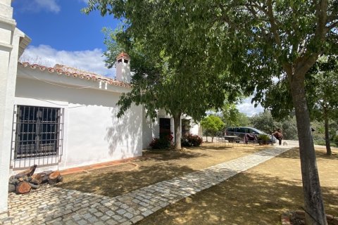 Продажа замков и поместий в Орначуэлос, Кордова, Испания 14 спален, 690м2 №154022 - фото 18