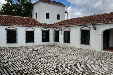 Slott i Hornachuelos, Cordoba, Spanien 14 sovrum, 690 kvm. Nr. 154022