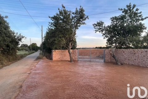 Земельный участок в Инка, Майорка, Испания 124905м2 №154021