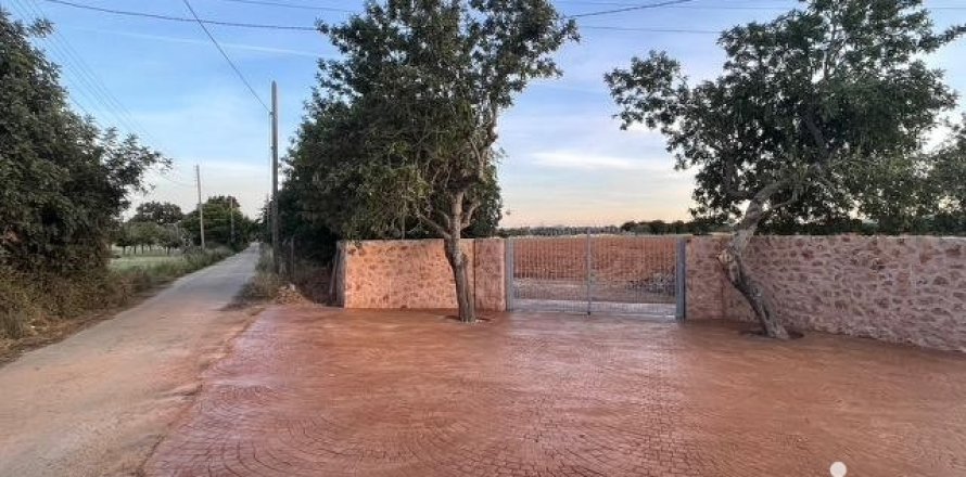 Земельный участок в Инка, Майорка, Испания 124905м2 №154021