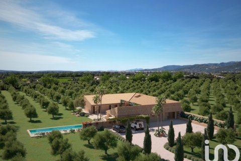 Продажа земельного участка в Инка, Майорка, Испания 124905м2 №154021 - фото 14