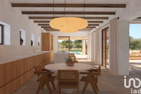 Продажа земельного участка в Инка, Майорка, Испания 124905м2 №154021 - фото 12