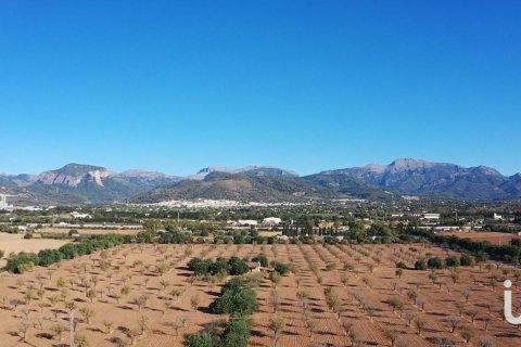 Продажа земельного участка в Инка, Майорка, Испания 124905м2 №154021 - фото 3