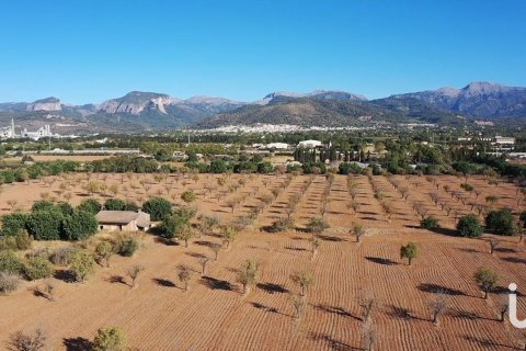 Продажа земельного участка в Инка, Майорка, Испания 124905м2 №154021 - фото 6