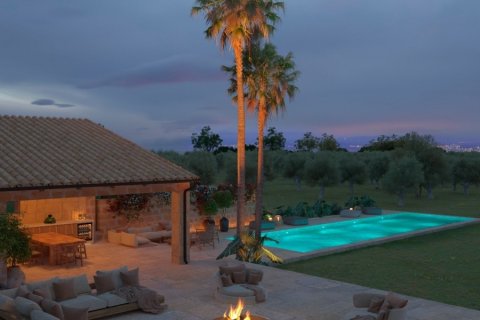 Продажа земельного участка в Инка, Майорка, Испания 124905м2 №154021 - фото 10