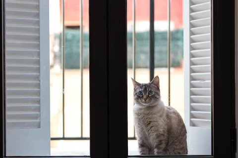 Lägenhet till salu i Mallorca, Spanien 3 sovrum, 110 kvm. Nr. 147773 - foto 26