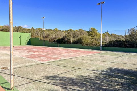 Villa till salu i Mallorca, Spanien 6 sovrum, 700 kvm. Nr. 147777 - foto 18