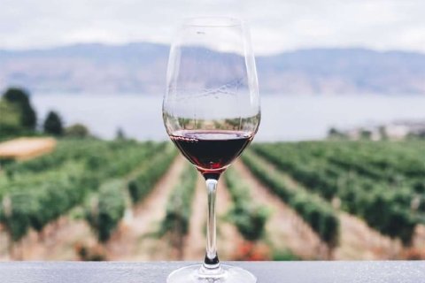 Villa zum Verkauf in Sencelles, Mallorca, Spanien 4 Schlafzimmer, 525 m2 Nr. 147775 - Foto 14