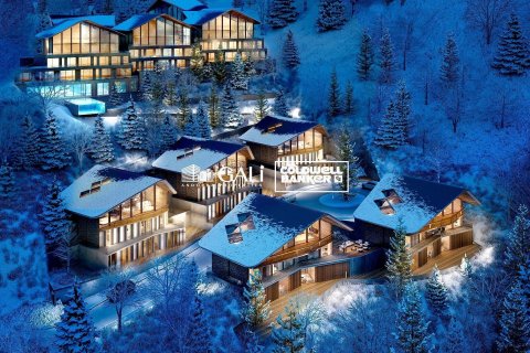 Villa in vendita a Principado De Andorra (Ninguna Poblacion Tiene C.P.), Lleida, Spagna 6 camere da letto, 707 mq. N° 160160 - foto 8