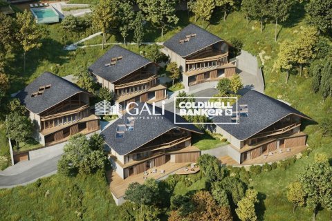 Villa till salu i Principado De Andorra (Ninguna Poblacion Tiene C.P.), Lleida, Spanien 7 sovrum, 697 kvm. Nr. 160158 - foto 18