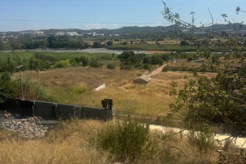 Land plot for sale in Riba-roja de Turia, Valencia, Spain No. 181871 - photo 8