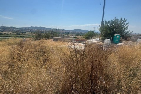 Land plot for sale in Riba-roja de Turia, Valencia, Spain No. 181871 - photo 17