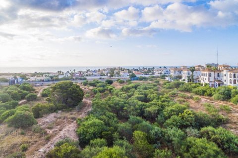 Apartment for sale Playa Flamenca II, Alicante, Spain 3 bedrooms, 101 sq.m. No. 114596 - photo 14