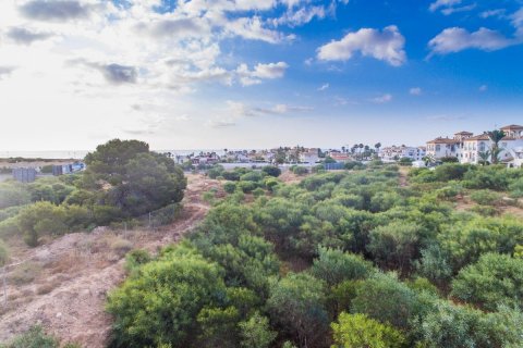 Apartment for sale Playa Flamenca II, Alicante, Spain 3 bedrooms, 101 sq.m. No. 114596 - photo 16