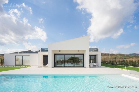 Huvila Murcia, Espanja 4 makuuhuonetta, 195 m2 No. 192941
