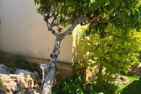 Bungalow till salu i Cabo Roig, Alicante, Spanien 2 sovrum, 68 kvm. Nr. 194501 - foto 11
