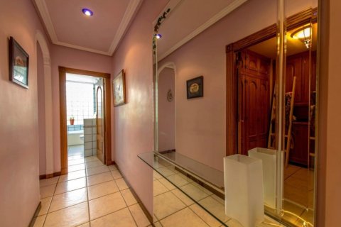 Продажа квартиры в Торревьеха, Аликанте, Испания 6 спален, 392м2 №194499 - фото 19