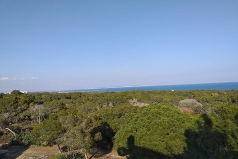 Takvåning till salu i Guardamar del Segura, Alicante, Spanien 3 sovrum, 136 kvm. Nr. 170731 - foto 4