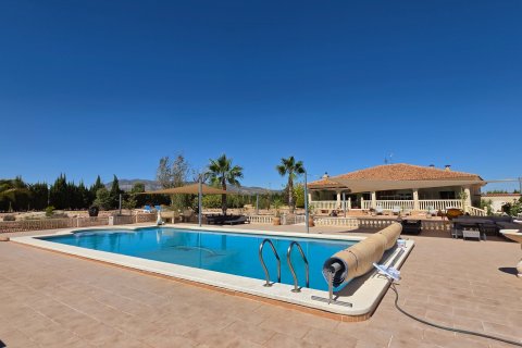 Villa Pinoso, Alicante, Spānijā 4 istabas, 405 m2 Nr. 196977