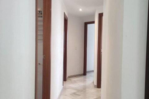 Penthauss pārdošanā Torrevieja, Alicante, Spānijā 3 istabas, 155 m2 Nr. 116737 - attēls 18