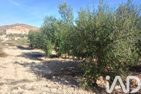 Terreno in vendita a Lorca, Murcia, Spagna 7165 mq. N° 185004 - foto 18
