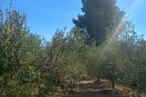 Terreno in vendita a Lorca, Murcia, Spagna 7165 mq. N° 185004 - foto 20