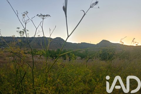 Terreno in vendita a Lorca, Murcia, Spagna 7165 mq. N° 185004 - foto 14