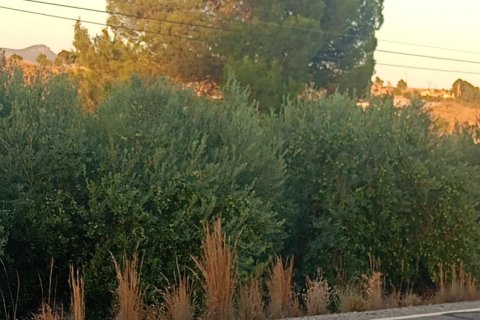 Terreno in vendita a Lorca, Murcia, Spagna 7165 mq. N° 185004 - foto 2