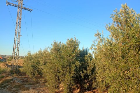 Terreno in vendita a Lorca, Murcia, Spagna 7165 mq. N° 185004 - foto 5