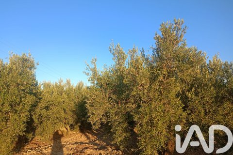 Terreno in vendita a Lorca, Murcia, Spagna 7165 mq. N° 185004 - foto 4